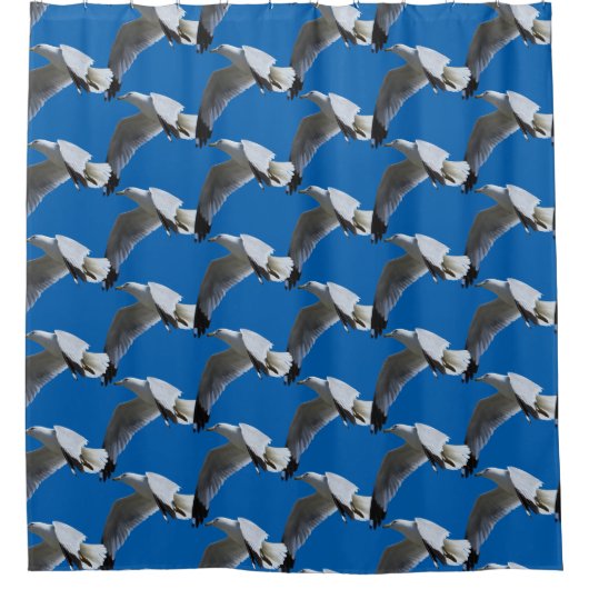 atemberaubender Ring-Billed Gull im Flug Duschvorhang (Vorderseite)