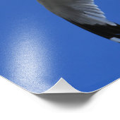 atemberaubender Ring-Billed Gull im Flug Fotodruck (Ecke)