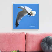 atemberaubender Ring-Billed Gull im Flug Leinwanddruck (Insitu (Wohnzimmer))