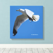 atemberaubender Ring-Billed Gull im Flug Leinwanddruck (Insitu (Holzboden))
