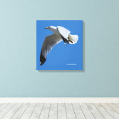 atemberaubender Ring-Billed Gull im Flug Leinwanddruck (Insitu (Holzboden))