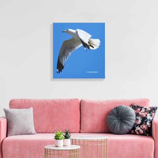 atemberaubender Ring-Billed Gull im Flug Leinwanddruck (Insitu (Wohnzimmer))