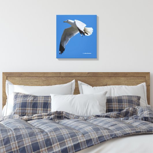 atemberaubender Ring-Billed Gull im Flug Leinwanddruck (Insitu (Schlafzimmer))