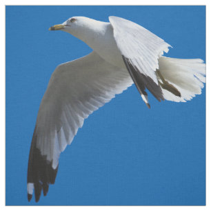 atemberaubender Ring-Billed Gull im Flug Stoff