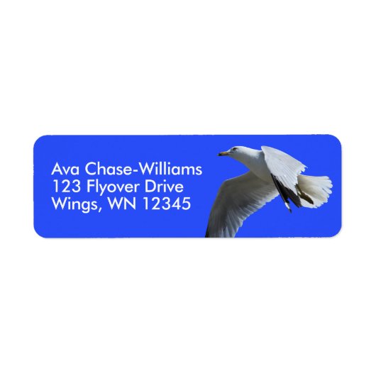 Atemberaubender Ring-Billed Gull Shorebird im Flug (Vorne)