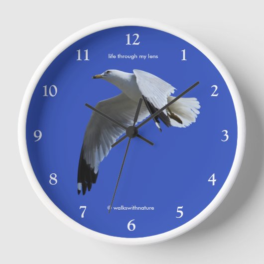 Atemberaubender Ring-Billed Gull Shorebird im Flug Wanduhr (Vorderseite)