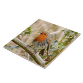 Atemberaubender Robin Fliese (Seite)