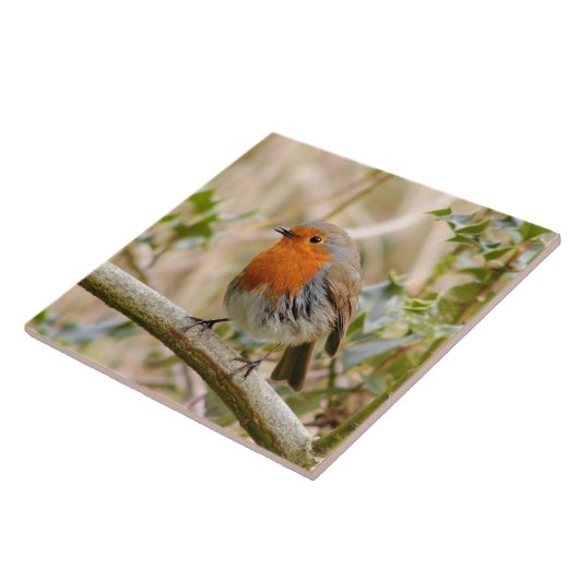 Atemberaubender Robin Fliese (Seite)