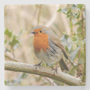 Atemberaubender Robin Steinuntersetzer