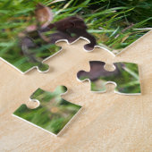 Atemberaubender Rot-Shafted Northern Flicker auf d Puzzle (Seite)