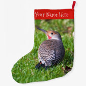 Atemberaubender Rot-Shafted Northern Flicker Woodp Großer Weihnachtsstrumpf (Rückseite)