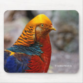 Atemberaubender roter Golden Pheasant Gamebird Mousepad (Vorne)