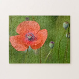 Atemberaubender Roter Mohn Puzzle