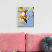 Atemberaubender Rufous Hummingbird in der Sonne Leinwanddruck (Insitu (Wohnzimmer))
