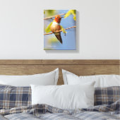 Atemberaubender Rufous Hummingbird in der Sonne Leinwanddruck (Insitu (Schlafzimmer))