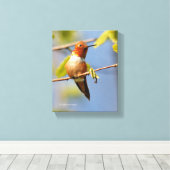 Atemberaubender Rufous Hummingbird in der Sonne Leinwanddruck (Insitu (Holzboden))