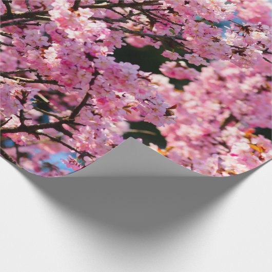 Atemberaubender Sakura-Baum in rosa Blüte Geschenkpapier (Ecke)