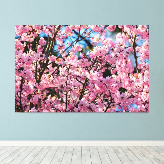 Atemberaubender Sakura-Baum in rosa Frühlingsblüte Leinwanddruck (Insitu (Holzboden))