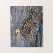 Atemberaubender Sandpiper-Shorebird am Strand Puzzle (Vertikal)