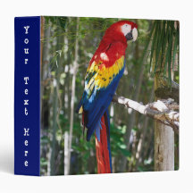 Atemberaubender Scarletmacaw-Papagei