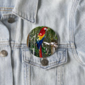 Atemberaubender Scarletmacaw-Papagei Button (Beispiel)