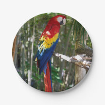 Atemberaubender Scarletmacaw-Papagei