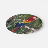 Atemberaubender Scarletmacaw-Papagei Pappteller (Schrägansicht)