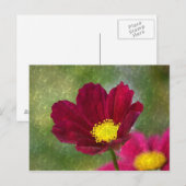 Atemberaubender schimmery Cosmos Postkarte (Vorne/Hinten)