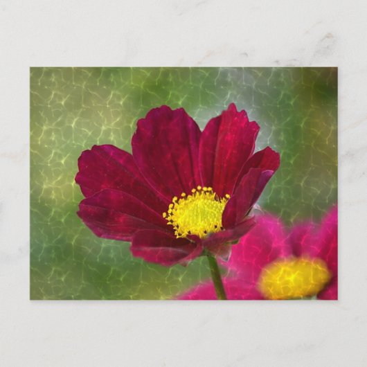 Atemberaubender schimmery Cosmos Postkarte (Vorderseite)