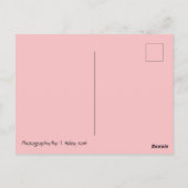 Atemberaubender Schmetterling Postkreuzung Postkar Postkarte (Rückseite)