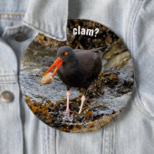Atemberaubender Schwarzer Oystercatcher mit Clam Button (Beispiel)