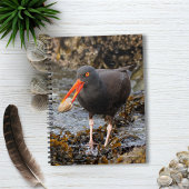 Atemberaubender Schwarzer Oystercatcher mit Clam Notizblock