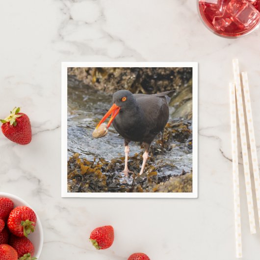Atemberaubender Schwarzer Oystercatcher mit Clam Serviette (Beispiel)