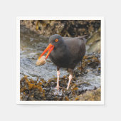 Atemberaubender Schwarzer Oystercatcher mit Clam Serviette (Vorderseite)