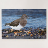 Atemberaubender schwarzer Turnstone am Strand Puzzle (Horizontal)
