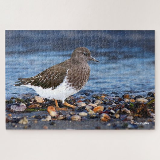 Atemberaubender schwarzer Turnstone am Strand Puzzle (Horizontal)