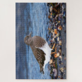 Atemberaubender schwarzer Turnstone am Strand Puzzle (Vertikal)
