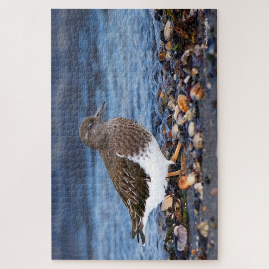 Atemberaubender schwarzer Turnstone am Strand Puzzle (Vertikal)