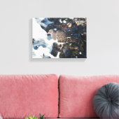 Atemberaubender Schwarzer Turnstone-Shorebird im S Leinwanddruck (Insitu (Wohnzimmer))