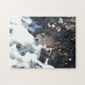 Atemberaubender Schwarzer Turnstone-Shorebird im S Puzzle (Horizontal)