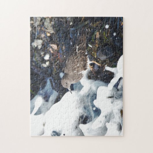 Atemberaubender Schwarzer Turnstone-Shorebird im S Puzzle (Vertikal)