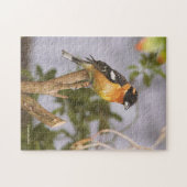 Atemberaubender Schwarzkopfseegänger auf Zweig Puzzle (Horizontal)