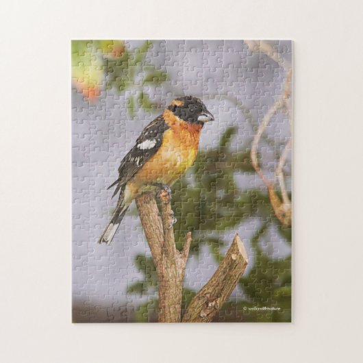 Atemberaubender Schwarzkopfseegänger auf Zweig Puzzle (Vertikal)