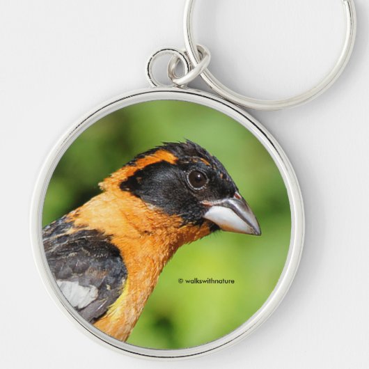 Atemberaubender Schwarzkopfsegel Schlüsselanhänger (Vorne)