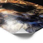 Atemberaubender Setter Fotodruck (Ecke)