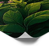 Atemberaubender Sonnenaufgang über den Ozeanwellen Poster (Ecke)