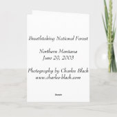 Atemberaubender staatlicher Wald Karte (Rückseite)