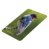 Atemberaubender Stallschlauch an einer Zweigstelle Magnet (Linke Seite)