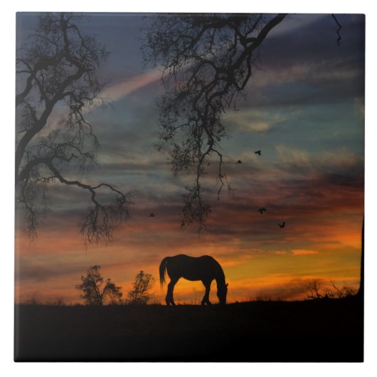 Atemberaubender Südwesten von Rom Fliese (Vorderseite)