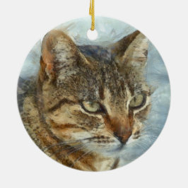 Atemberaubender Tabby-Kat Nah Up Graphit Pencil Po Keramik Ornament